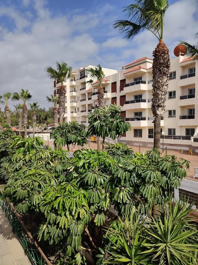 Apartment Soleil Altamar Playa de las Americas  0*, Playa de las Americas (Tenerife) Spagna